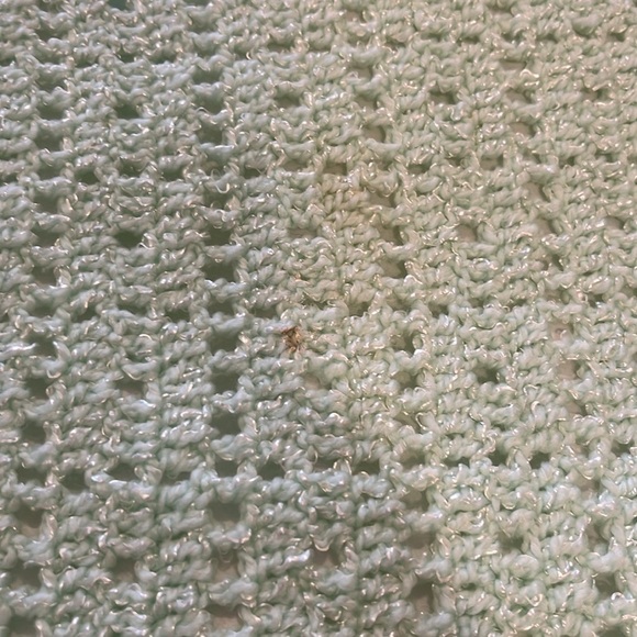 Sage Mint Green Baby Blanket Hand Crochet Edge Detail Shimmer 31x37 - Picture 6 of 6